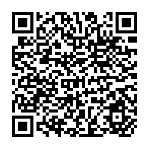 QR Code for Multi-Period Budgeting and the Economic Assessment of Perennial Crop Intercropping Systems