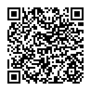 QR Code for Report of A Survey of Rural Households in the Hat Xai Fong District in Vientiane province of the Lao People's Democratic republic