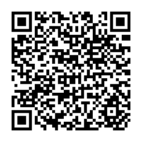 QR Code for Guide to Methods and Procedures of Rural Credit Surveys