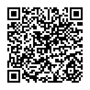 QR Code for Irrigation System Management Research and Selected Methodological Issues