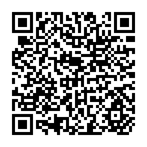 QR Code for Interdisciplinary Challenges and Opportunities in International Agricultural Research