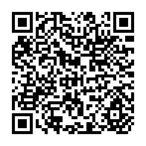 QR Code for Employment and Development in Nepal