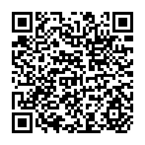 QR Code for The World Bank and the Poor