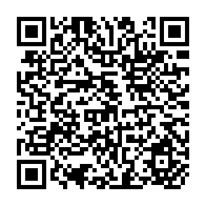 QR Code for Poverty, Productivity and Participation