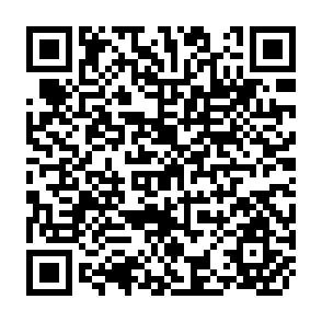 QR Code for A study of Farm Size and Economic Perferomance in Old Santa Rose, Rio Grande Do Sul