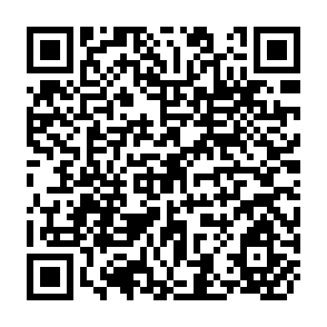 QR Code for Demographic Impact on Socio-economic Development : The Malaysia Experience