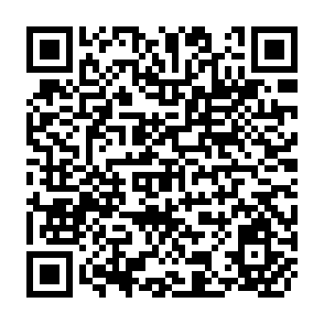 QR Code for Towards the Monetary Valuation of Absolute Poverty