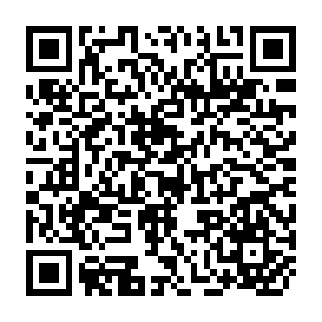 QR Code for The escap/spc conference seminar on population problems of small island countries of the escape/spc Region