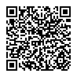 QR Code for Cluster Analysis