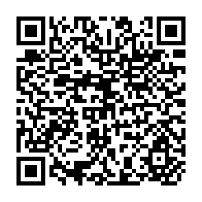 QR Code for Debater's Comments on "Inquiry into Participation: A Research Approach"