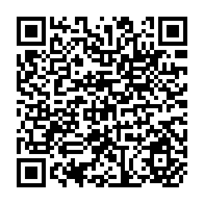 QR Code for Spices: A Survey of the World Market