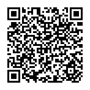QR Code for Spices: A Survey of the World Market