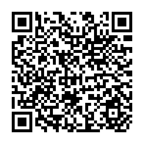 QR Code for Strengthening of Energy Research Capacity in Developing Countries- Part II: Background Papers
