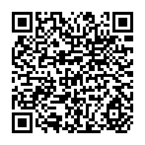 QR Code for FAO Commodity Review and Outlook