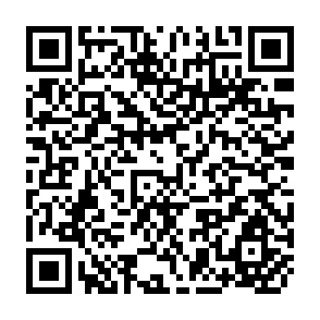 QR Code for Service Provision and Rural Development in India: A Study of Miryalguda Taluka