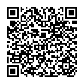 QR Code for The chinese agricultural economy