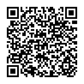 QR Code for Small Agricultural Producers Credit Programs: El Salvador, A Case Study