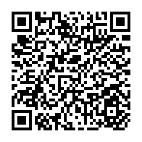 QR Code for Delivery System in Support of Small Farmers in the Context of Rural Development
