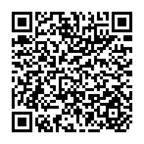 QR Code for Delivery System in Support of Small Farmers in the Context of Rural Development