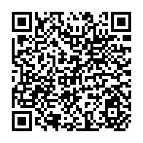 QR Code for An Integrated Social - Environmental Analysis of the Luangwa Vally in Zambia