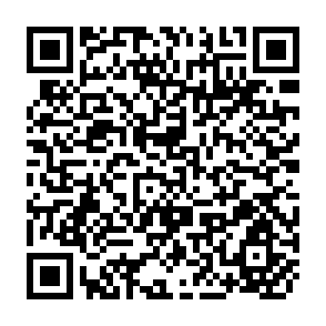 QR Code for Arctic Wild
