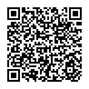 QR Code for Portfolio Choice and Risk