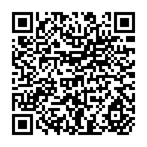 QR Code for Regreeion by Minimum sum of Absolute Errors:Some Results