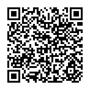 QR Code for Adjustment of the Labour Market to The Foreign outflow of Skilled Labor: The Case of Construction Workers