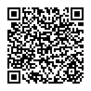 QR Code for New Rich Technology, Intrarural Migration and Institutional Innovation in the Philippines