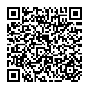 QR Code for Local Organization and Rural Development: The State of the Art