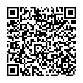 QR Code for Report of the Workshop on Poverty-Focused Rural Development and Small Farmer Credit