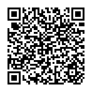 QR Code for Introduction to Statistics and Probability