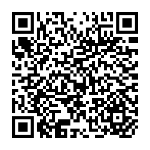 QR Code for Humans developing