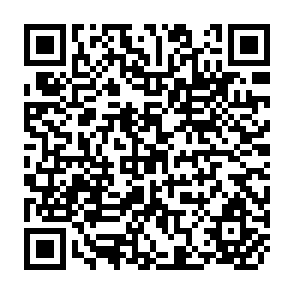 QR Code for Economics: Macroeconomic Principles and Issues