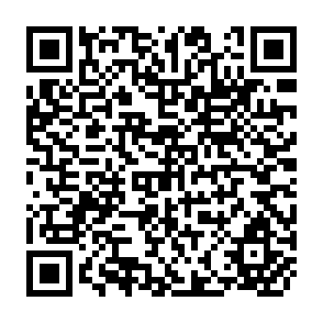 QR Code for The Transition in Open Dualistic Economies