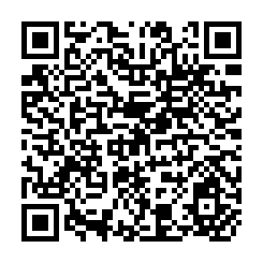 QR Code for The Economics of Irrigation Sheduling the Kemube Agricultural Development Project, Malaysiya