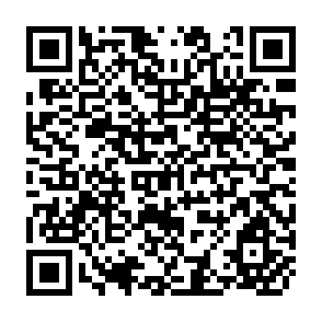 QR Code for The strategy of food and agriculture in India