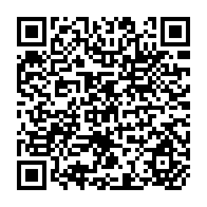 QR Code for The Scope for Labor Capital Substitution in the Developing Economies of Southesat and East Asia : A Sectiral Approach