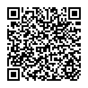 QR Code for Estlation of Long-Run Changes in Domestic Demand for Food in LDC's