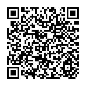 QR Code for Employment Income Distribution and a Poverty Redressal Index