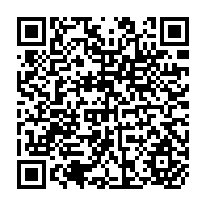 QR Code for Land Policy in Poland