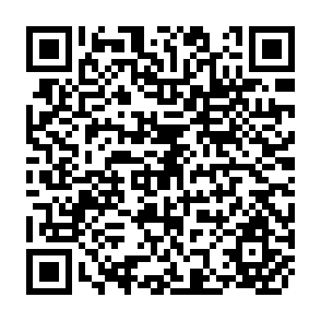QR Code for Techniques for Assessing Water Resource Potentials in the Developing Countries
