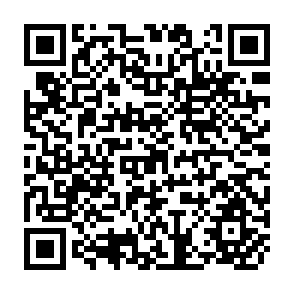 QR Code for Main System Canal Irrigation: Choices for Investment and Research