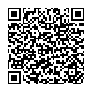 QR Code for International Bank for Reconstruction and development