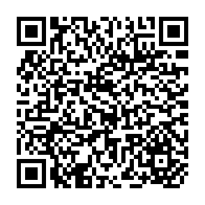 QR Code for Class,Power,and Alienation:Rural Differences