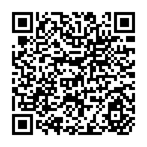 QR Code for The Theory of Urban Underemployment in Less Developed Countries