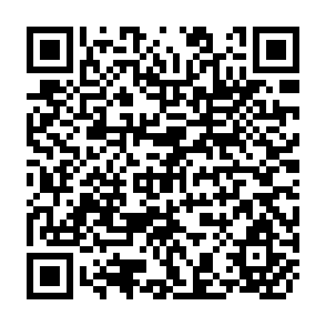 QR Code for Pretection and Development