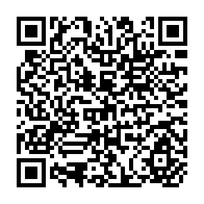 QR Code for The Employment Problem and World Bank Activities