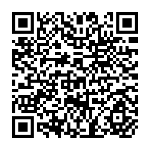QR Code for Urban Land and Public Policy: Social Appropriation of Betterment