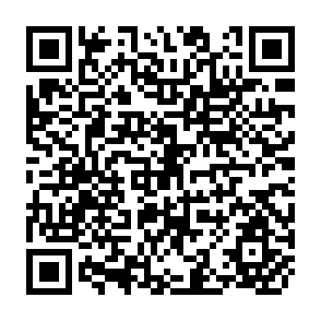 QR Code for The Utilisation of Fibrous Agricultural Residues